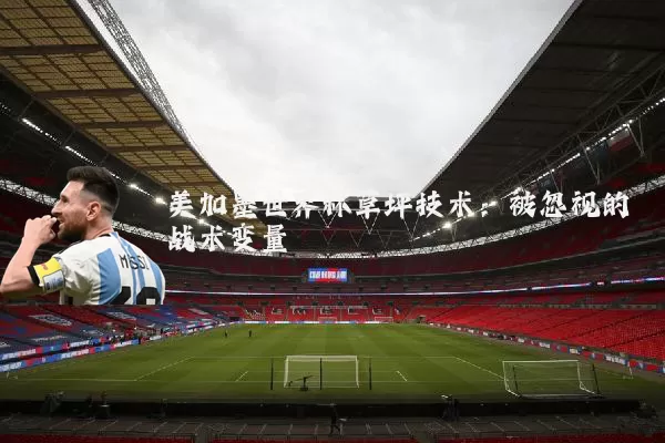 美加墨世界杯草坪技术：被忽视的战术变量